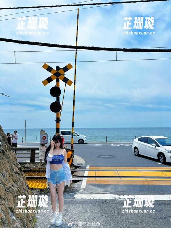 探索亚马逊鲶鱼与网袜的完美结合，写真套图展现极致美感