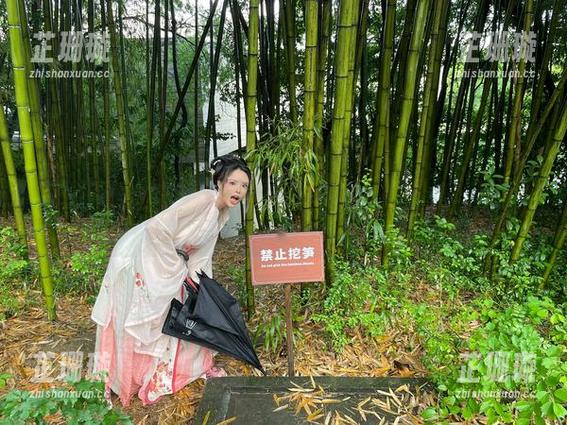 迫不及待！秋和柯基高清图册独家上线“推进之王”作品