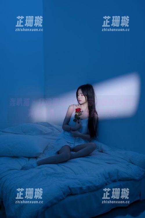 轰趴猫 - 打造职场风格：苏小暖办公室写真作品集，获取独家资源攻略